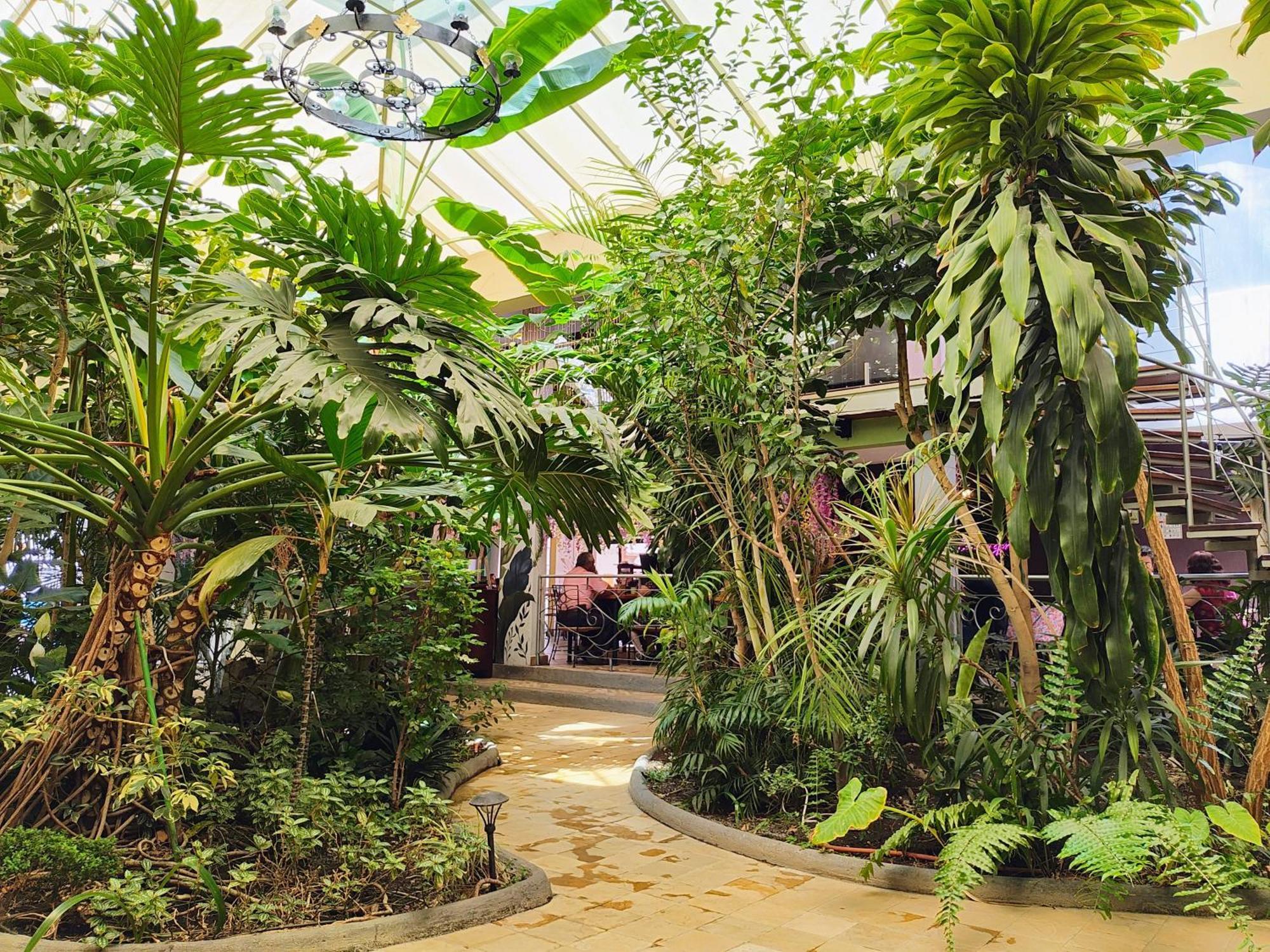 Hotel Jardines Del Centro San Cristóbal de Las Casas Buitenkant foto